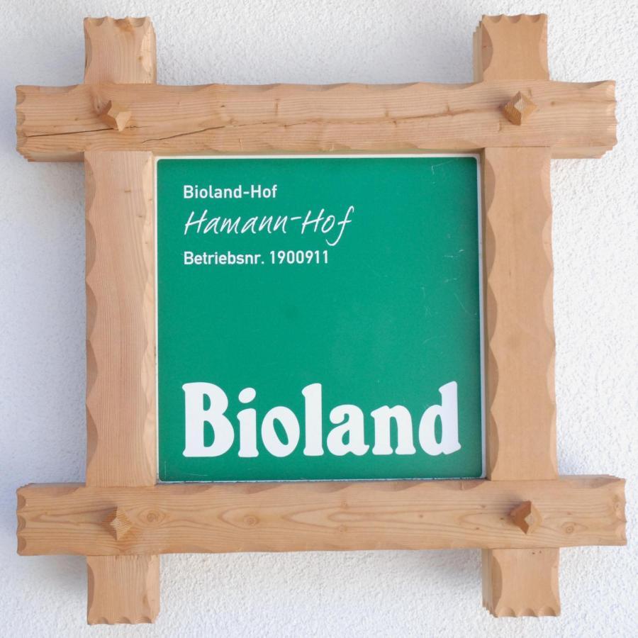 Вилла Biohof Hamann Sarentino Экстерьер фото