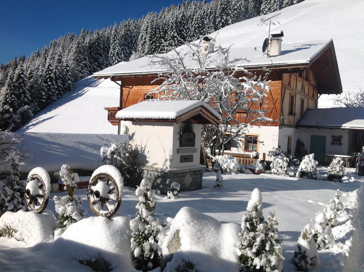 Вилла Biohof Hamann Sarentino Экстерьер фото